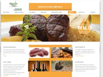 Website cms joomla